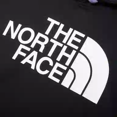 THE NORTH FACE W Ease Ss Hoodie Tee Ap Logo T