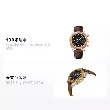 OMEGA Speedmaster 331.22.42.51.01.001