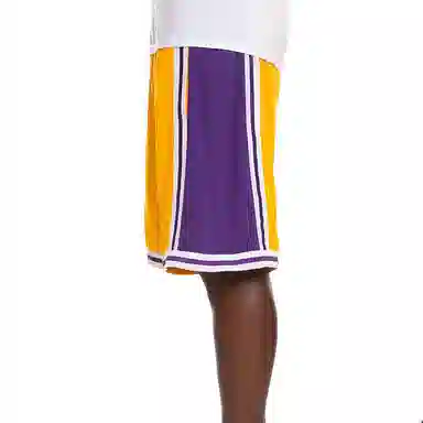 Mitchell Ness Swingman