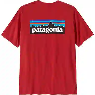 patagonia P-6Logo Responsibili LogoT