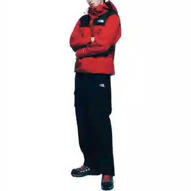 The North Face 1990 GTX L3 Jacket