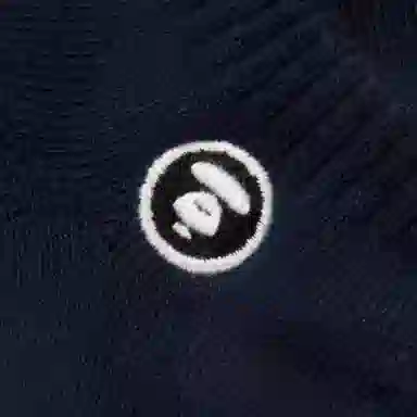 Aape 1