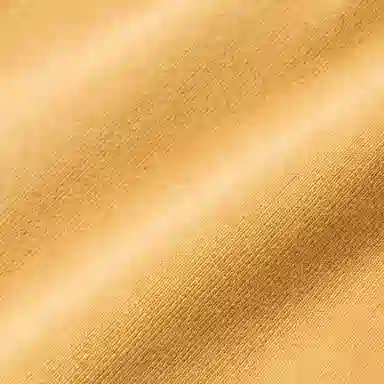 GUCCI x THE NORTH FACE SS21 Shorts