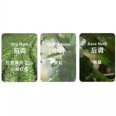 Valentino Born in Roma