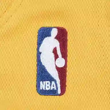 Mitchell Ness Authentic 2008-09