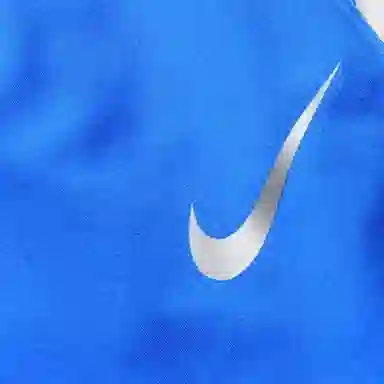 Nike Shorts Blue