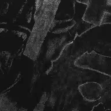 A BATHING APE FW25 FW25 T