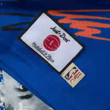 Mitchell Ness NBA JUST DON 33