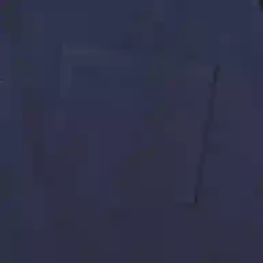 THE NORTH FACE PURPLE LABEL LogoT 2