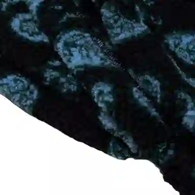 Lanvin SS22 Paisley Shorts