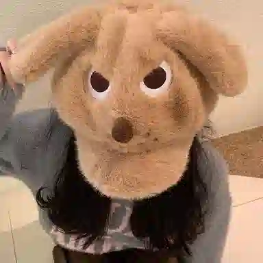 【秋冬必备~愤怒小狗】 攸委 可爱卡通毛绒鸭舌贝雷帽女冬季保暖加绒加厚显脸小 涤纶 时尚百搭学生毛茸茸棒球帽八角帽 男女同款情侣款