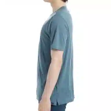patagonia Capilene Cool Merino Graphic Shirt T
