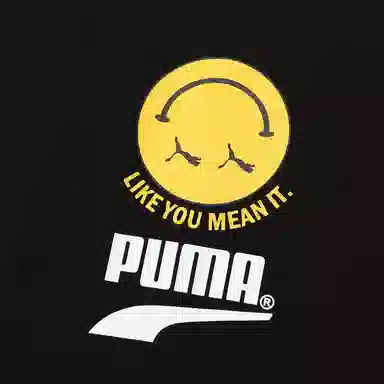 Puma T