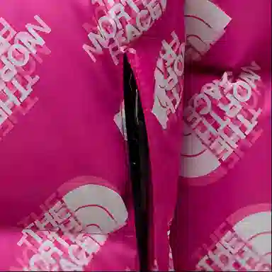 THE NORTH FACE 1996 Logo