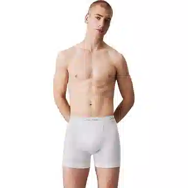 Calvin Klein Boxer Briefs 3-Pack