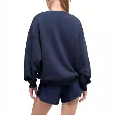 Alo Yoga Accolade Crew Neck Pullover