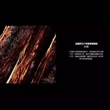 Vanille Planifolia Extrait 21 parfum 50ml