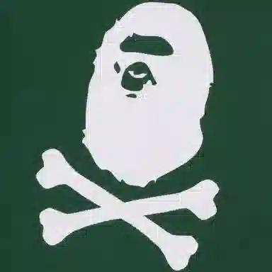 A BATHING APE Hoodie