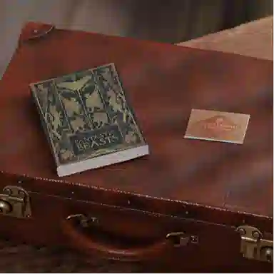 Hot Toys Newt Scamander Figure