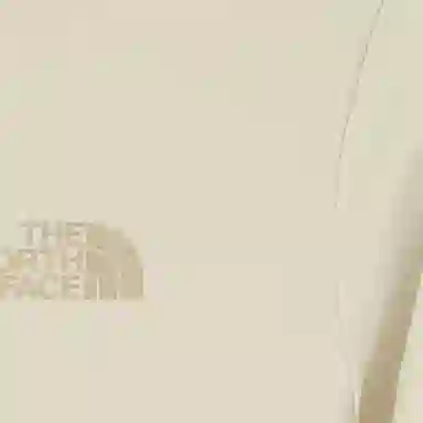 THE NORTH FACE Cotton Logo Ss Rtee LogoT