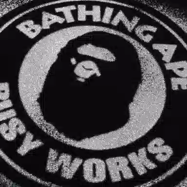 A BATHING APE SS25 logoT