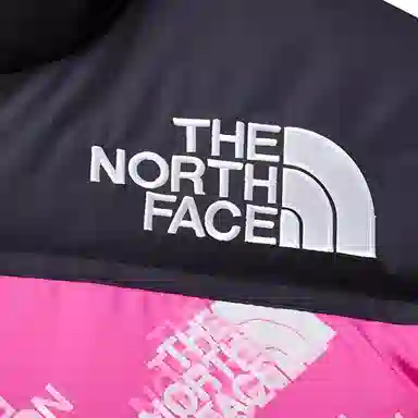 THE NORTH FACE 1996 Logo