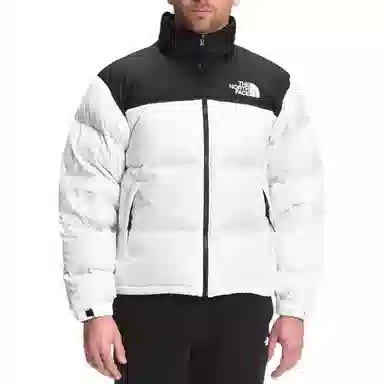 THE NORTH FACE 1996 Logo