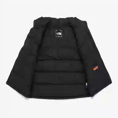 The North Face Puffy Ex On Ball Vest Black