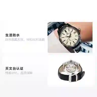 Grand Seiko SBGA293G