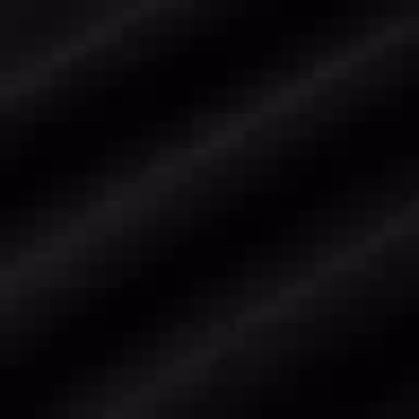 VERSACE JEANS COUTURE SS25 logo