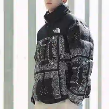 The North Face 1996 Nuptse