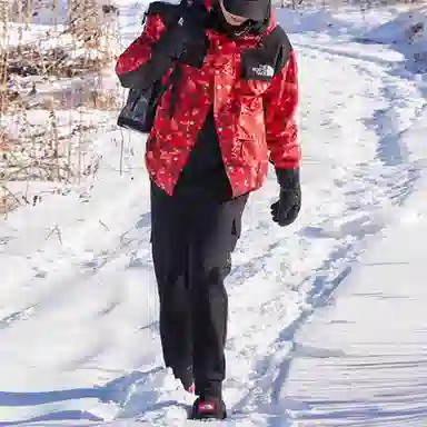 The North Face ICON 1986