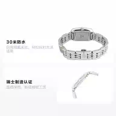 LONGINES 30 22*32mm L6.141.4.77.6