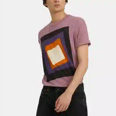 Levi's Skate Series Printed Ribbed Crew Neck Tee Purple