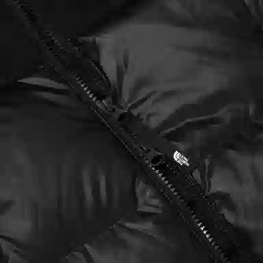 THE NORTH FACE W's Novelty Nuptse Down Jacket