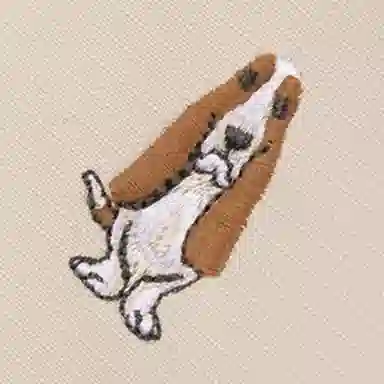 Hush Puppies x MICHIGAN SS25