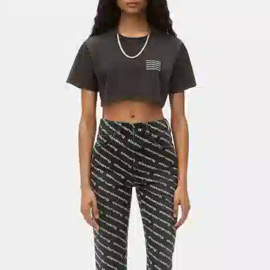 Alexander Wang SS22 Logo Tee Gray