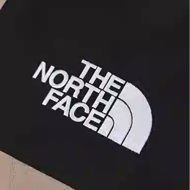 THE NORTH FACE ICON Mountain logo