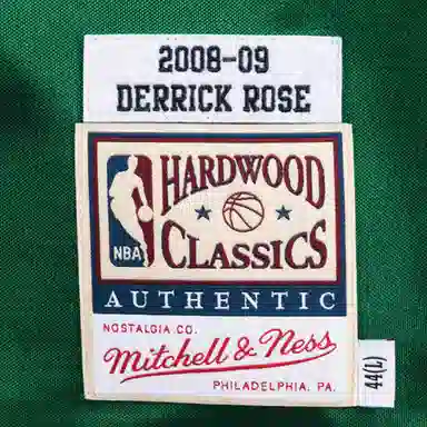 Mitchell Ness NBA AU 08-09 1