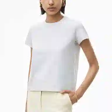 alexander wang FW21 LogoT