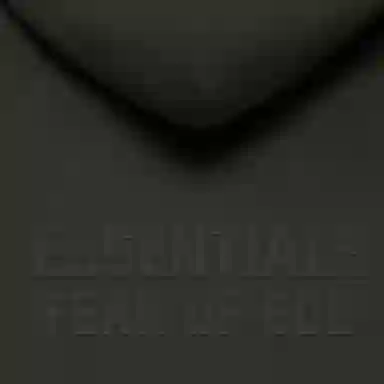 Fear of God Essentials FW22 Kids Fullzip Hoodie Off Black