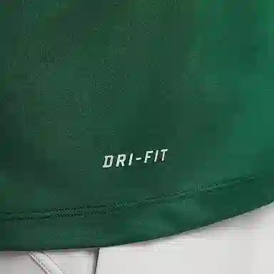 Nike Dri-Fit Team Legend T