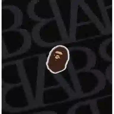 A BATHING APE FW23 T