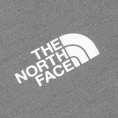 THE NORTH FACE SS25 T