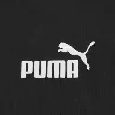 PUMA T