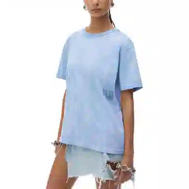 alexander wang FW24T