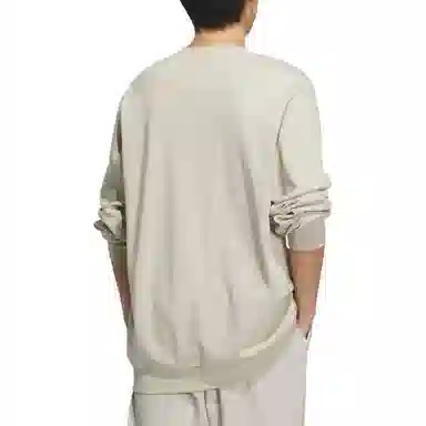 adidas FW24 M TRANS CREW1