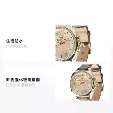 COACH Boyfriend 14502509