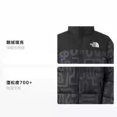 THE NORTH FACE