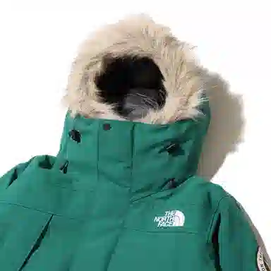 THE NORTH FACE GORE-TEX Logo